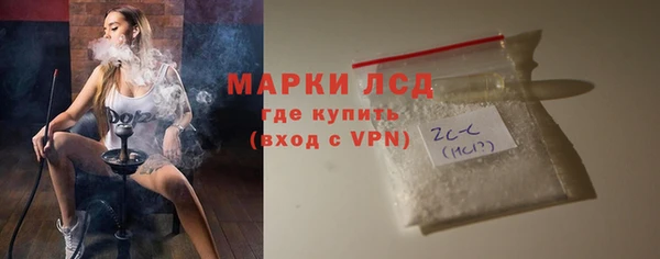 стаф Щучье
