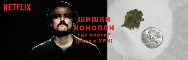 spice Вязьма