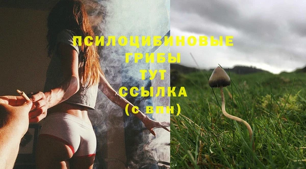 a pvp Горняк