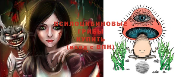spice Вязьма